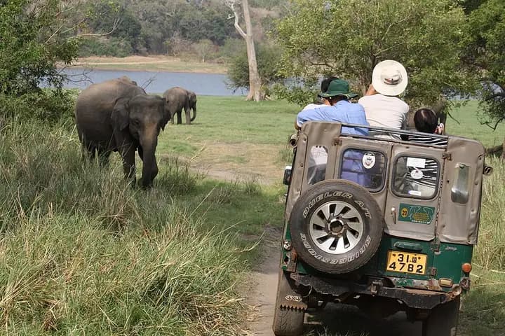 Minneriya National Park Elephant Safari