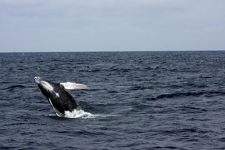 Bar Reef Marine Sanctuary