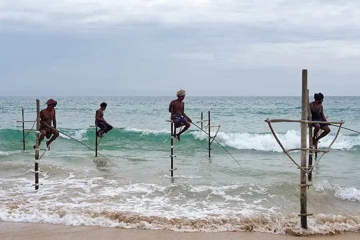 Stilt fishermen of Koggala