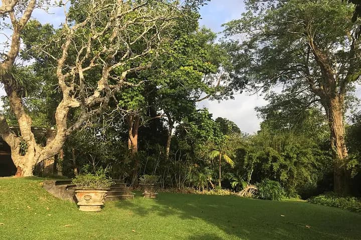 Brief Garden (Bevis Bawa’s garden)