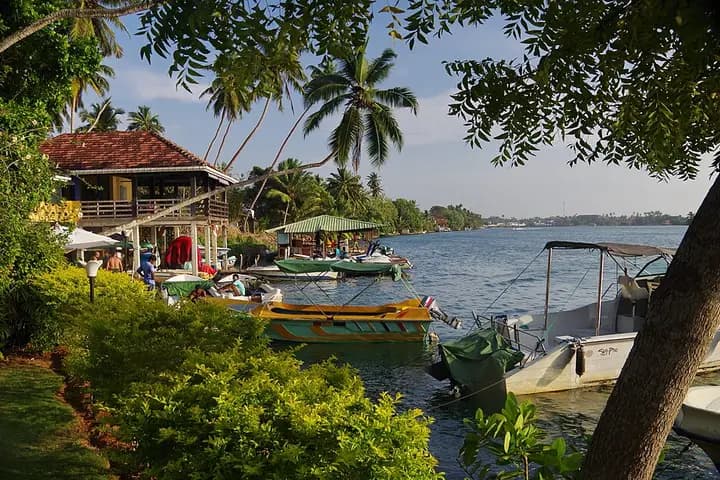 Bentota River boat safari