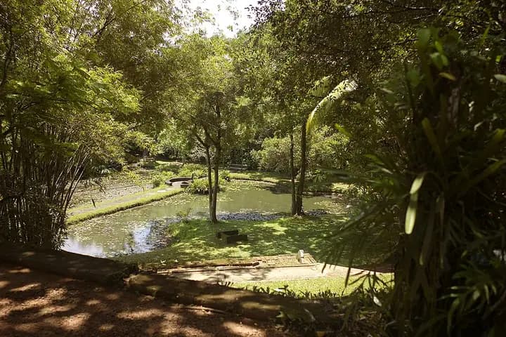लुनुगंगा और ब्रीफ़ गार्डन (बावा बंधुओं के बाग़)