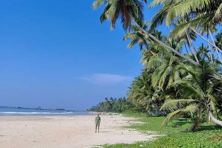 Snorkelling at Polhena Reef