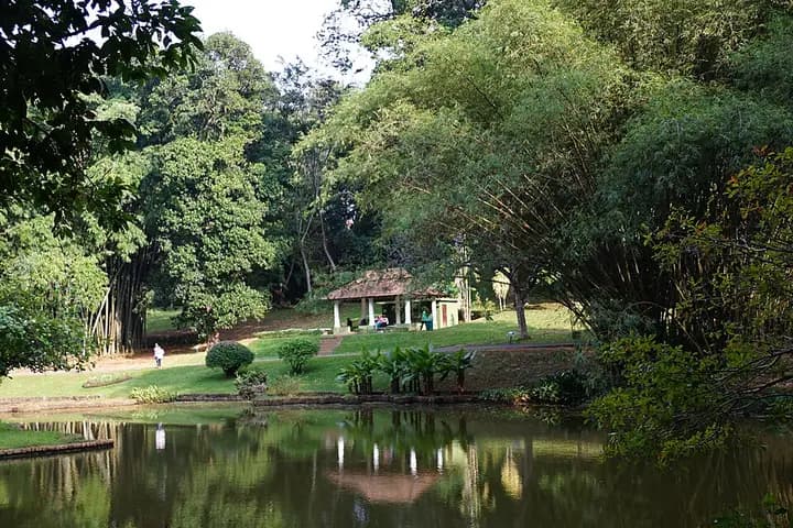 रॉयल बॉटनिकल गार्डन, पेरादेनिया
