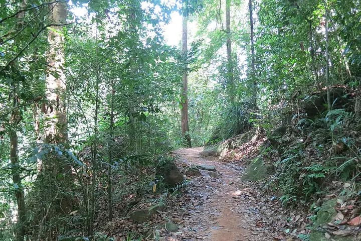 Sinharaja rainforest day trip
