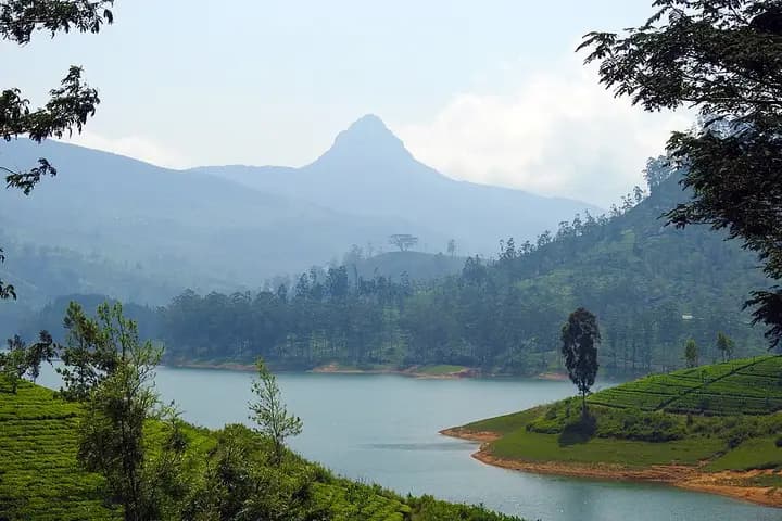 Maussakelle and Castlereagh reservoirs