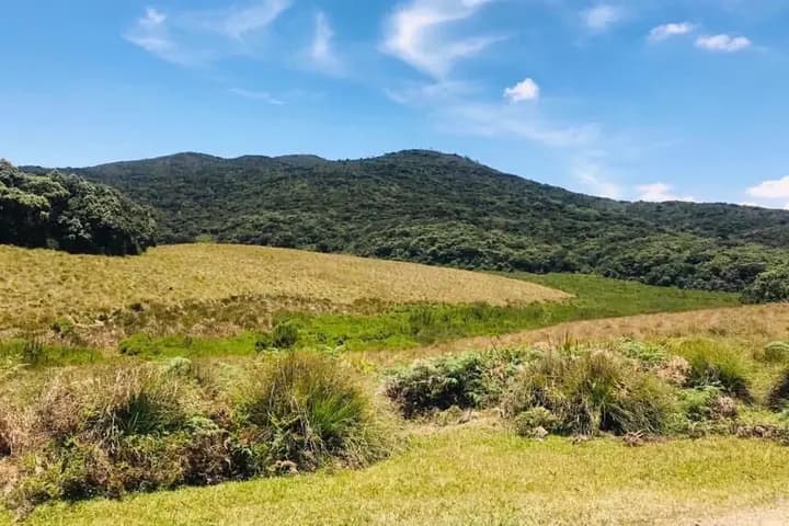 Horton Plains and World’s End