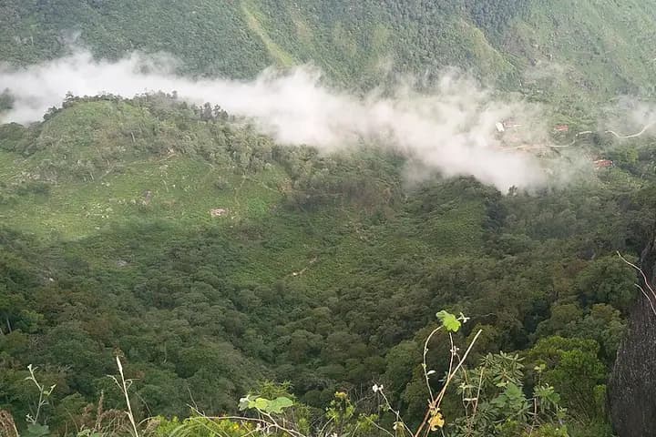 霍顿平原与世界尽头